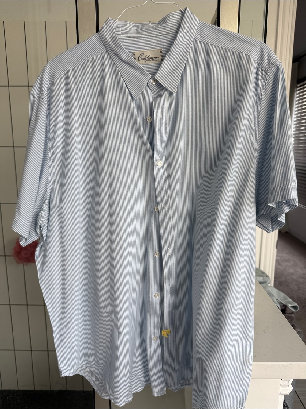Light Blue Pinstripe Short-Sleeve Button-Down Shirt